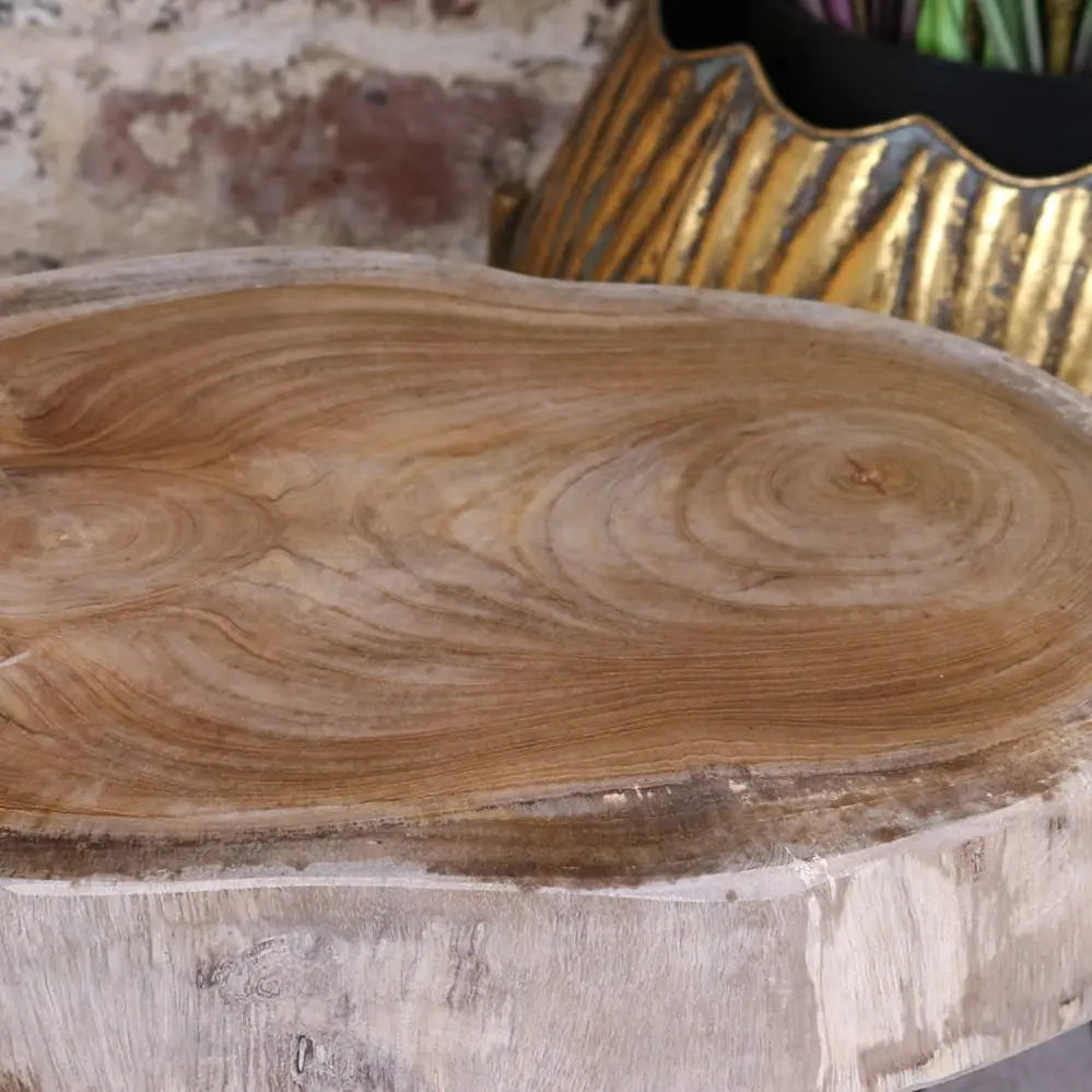 Tree Root Side Table Plant Stand