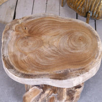 Tree Root Side Table Plant Stand