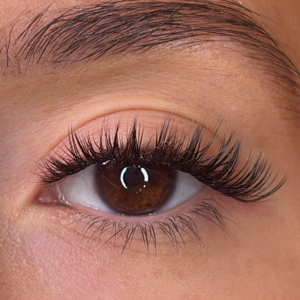 Keegan Pre Styled Lash Ribbons®