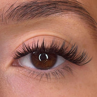 Keegan Pre Styled Lash Ribbons®