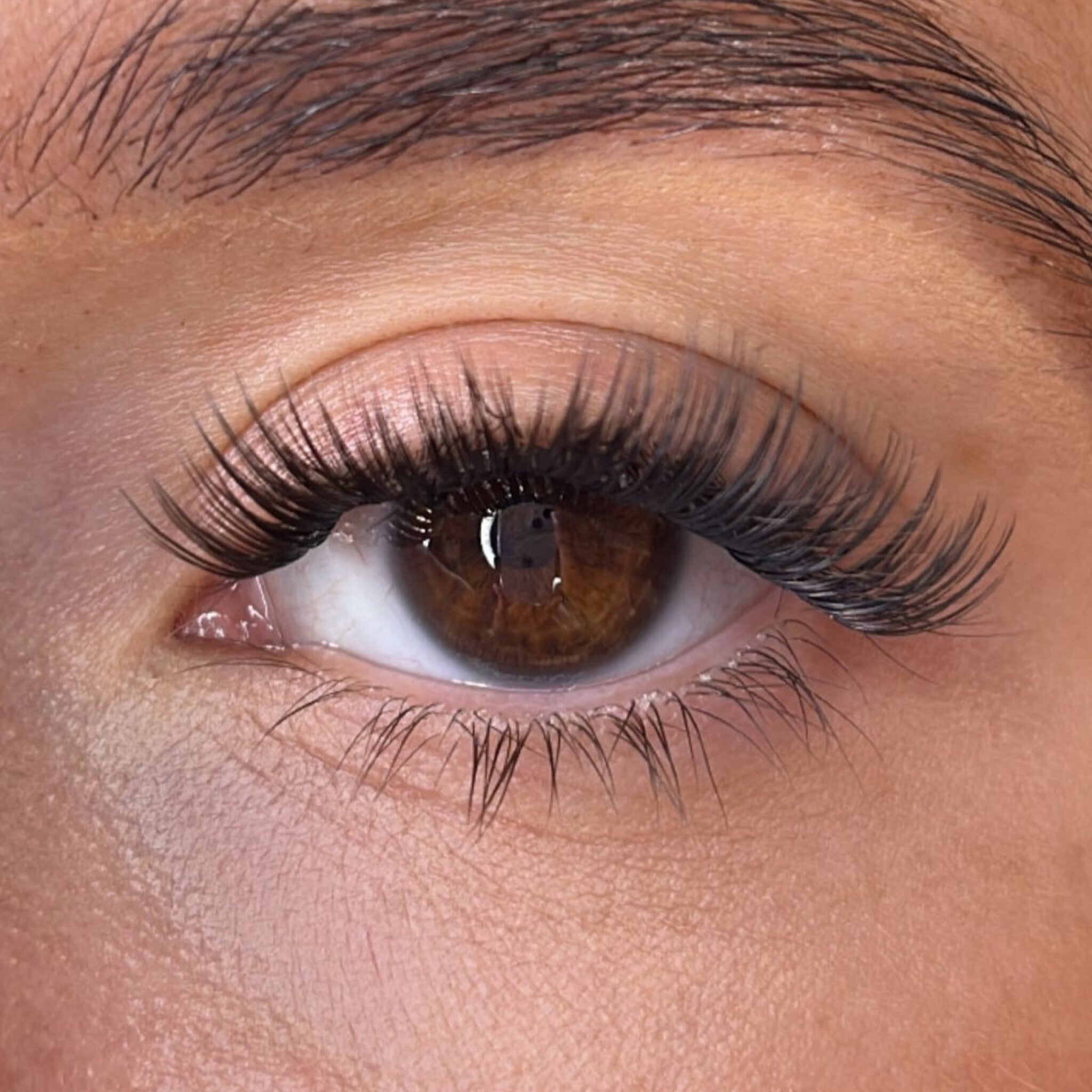 Keri Lash Ribbons® Collections