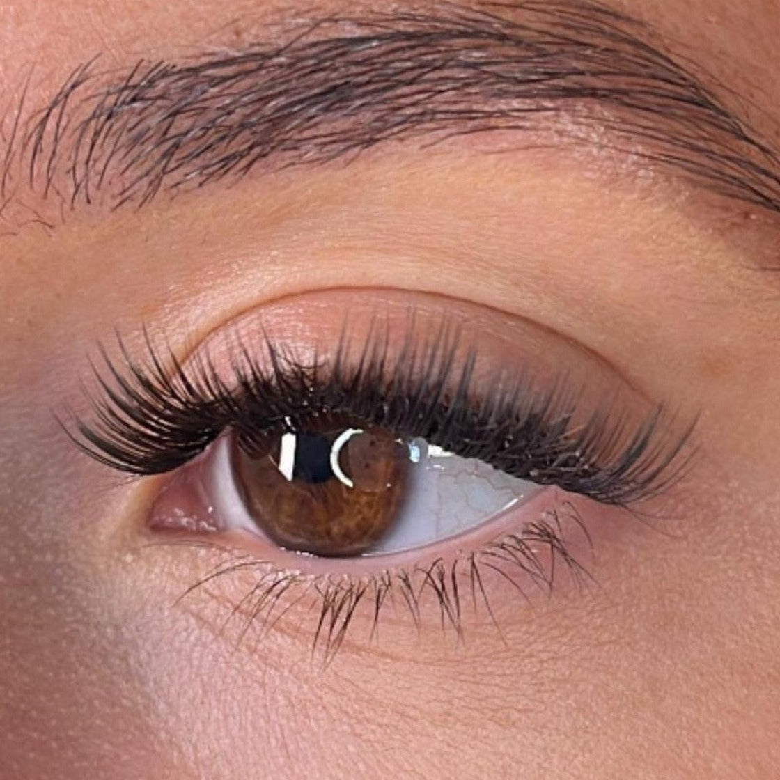 Keri Lash Ribbons® Collections