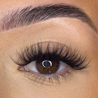 Pre-Glued Lash Clusters - No Faff Lash - Kia Original