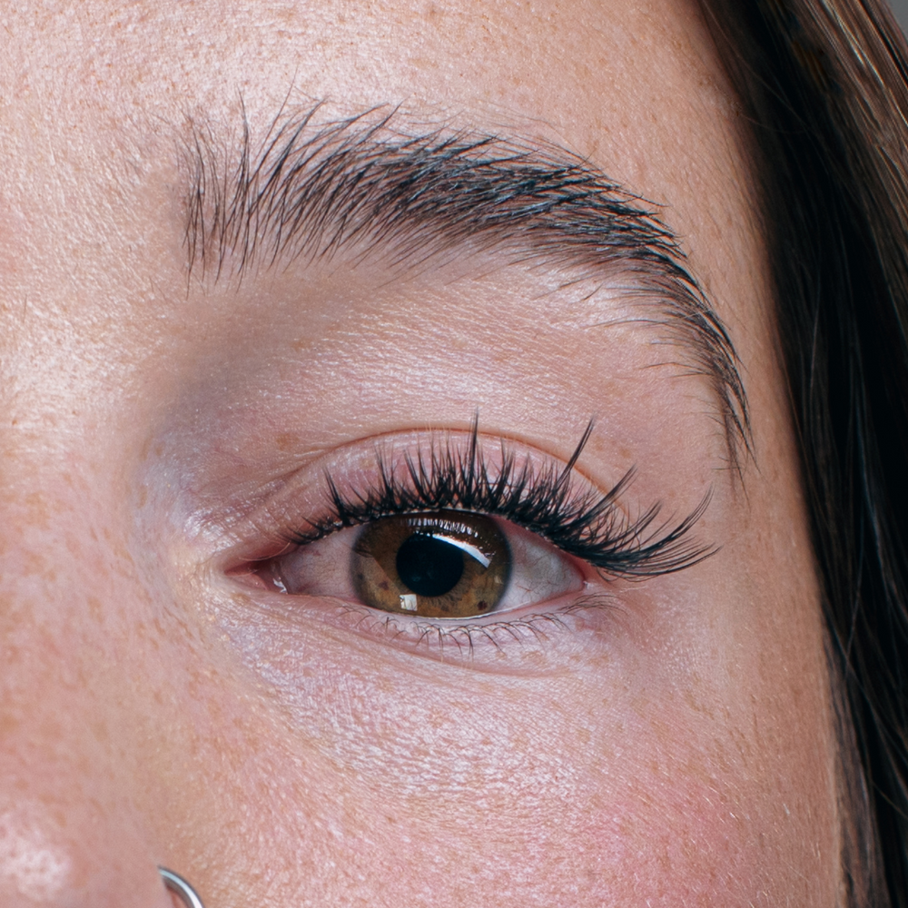Lashiest Lashes