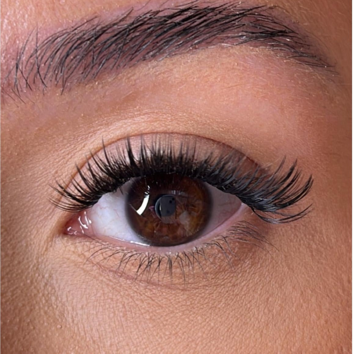 The Medium Lash Collection With No Name