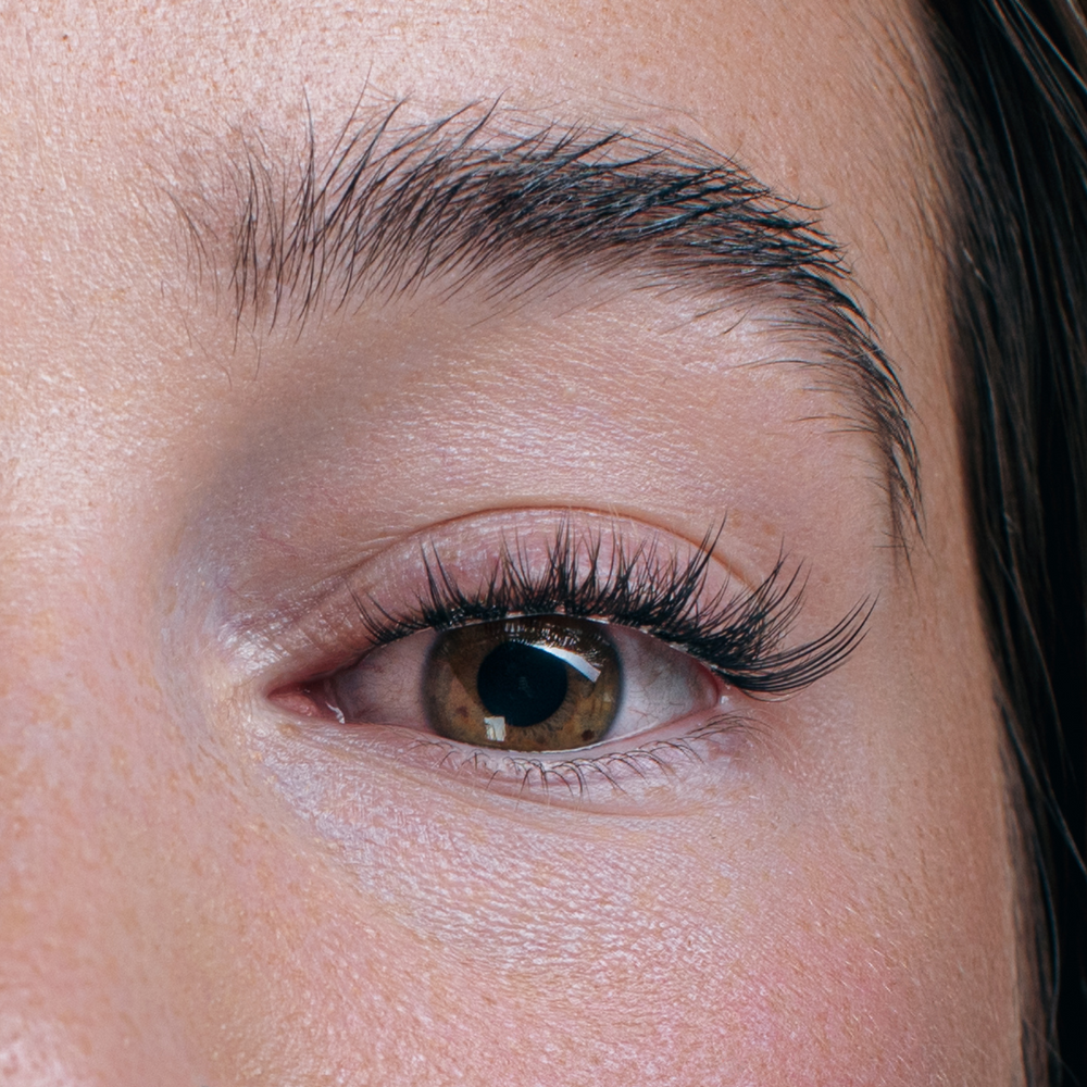 Lashy Lashes