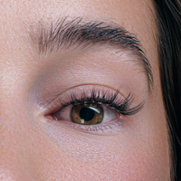 Lashy Lashes