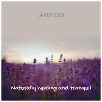 Natural Soap On A Rope - 'Classic' Lavender 125g