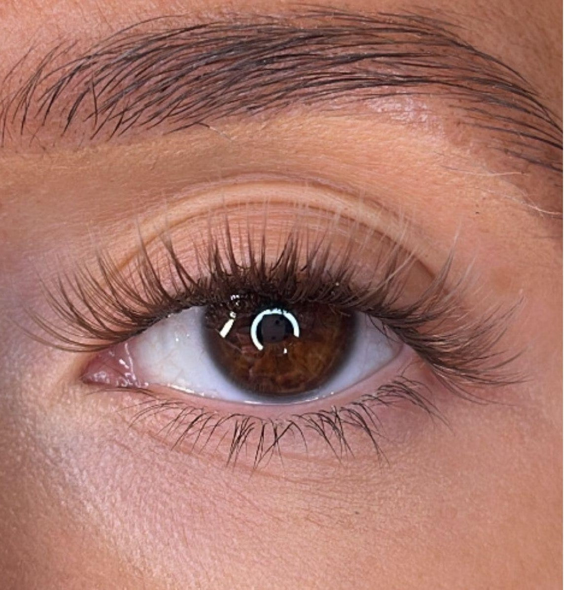 Logan - 3D 'D' Curl Brown Lash Ribbons®