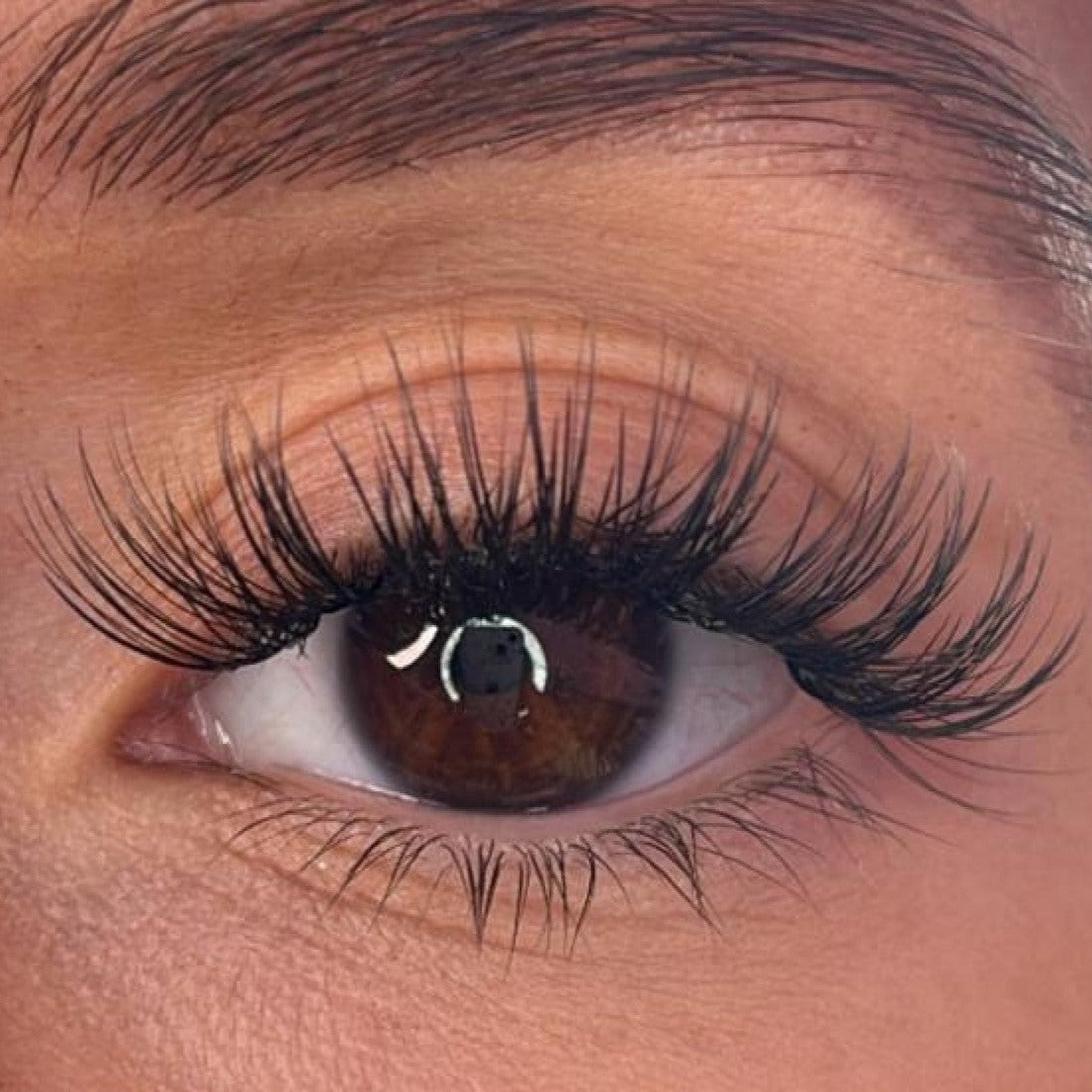 Logan - 3D 'D' Curl Lash Ribbons®