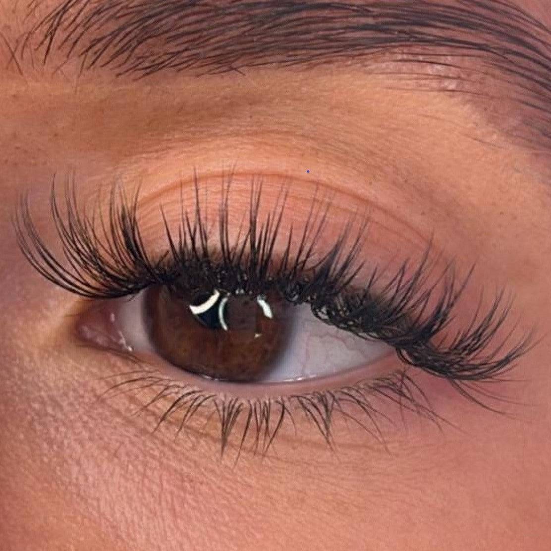 Logan - 3D 'D' Curl Lash Ribbons®