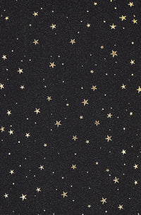 Yumi Black Mesh Star Print Long Sleeve Top