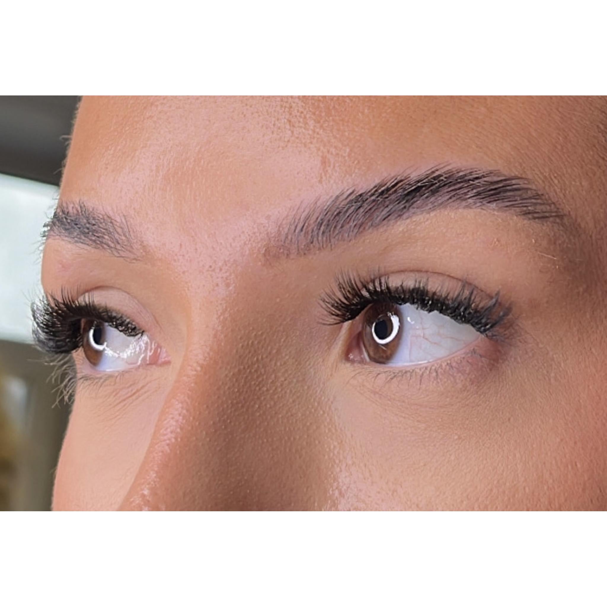 Premium Christmas Collection Limited Edition Starter Kit