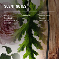 Medina Rose Scented Candle Refill