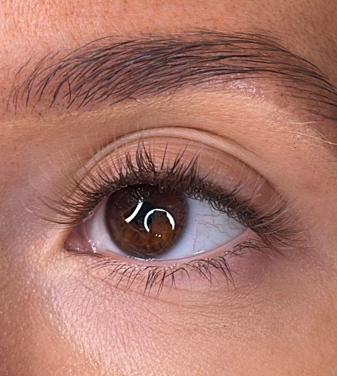 Moira - 3D 'D' Curl Brown Lash Ribbons®