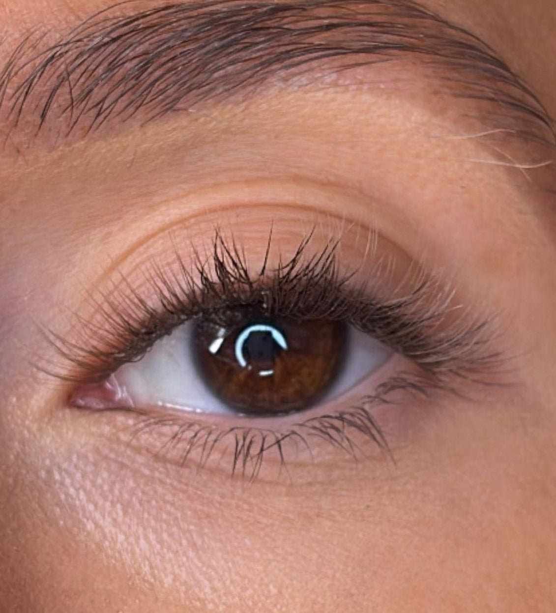 Moira - 3D 'D' Curl Brown Lash Ribbons®