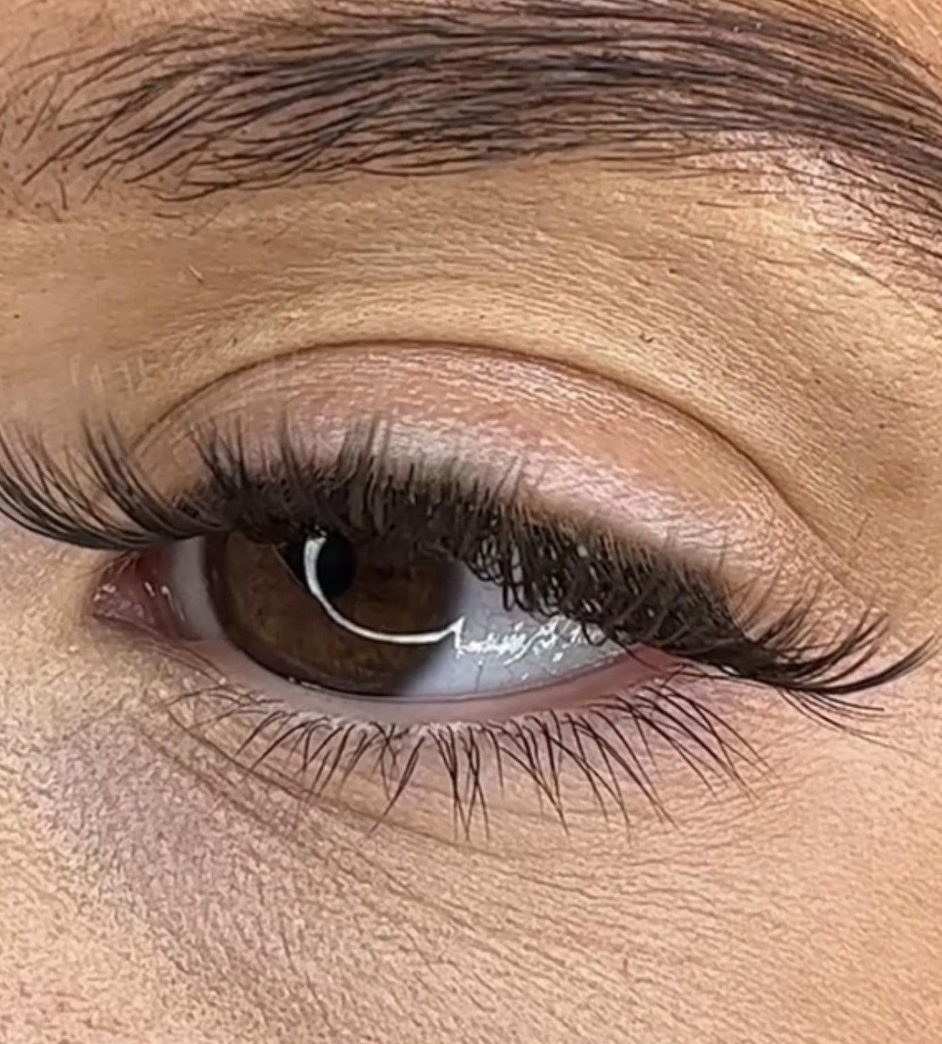 Niamh - 3D Black/Brown 'C' Curl Lash Ribbons® - Sale Item