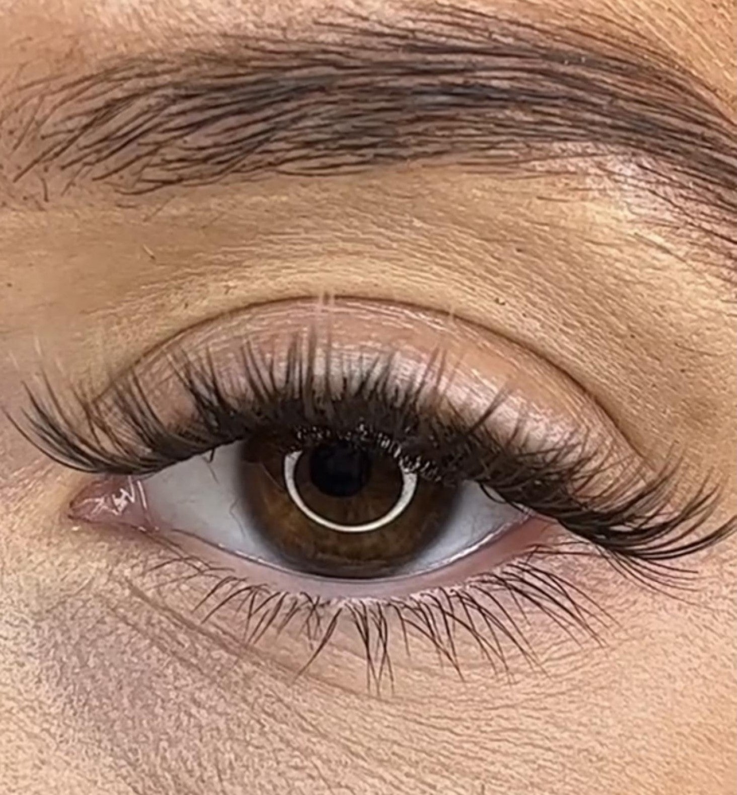 Niamh - 3D Black/Brown 'C' Curl Lash Ribbons® - Sale Item