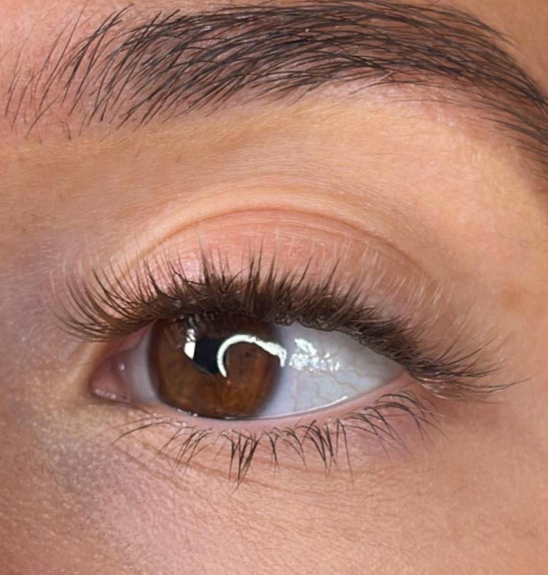 Niamh - 3D 'D' Curl Brown Lash Ribbons®