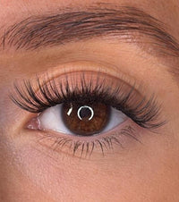 Niamh - 3D 'D' Curl 18mm Lash Ribbons® - Sale Item