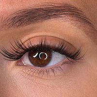 Nola - 'D' Curl 8mm Lash Ribbons® - Sale Item