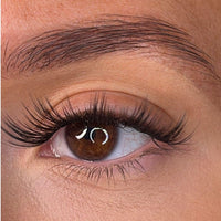 Nola - 'C' Curl Lash Ribbons® Invisible Band