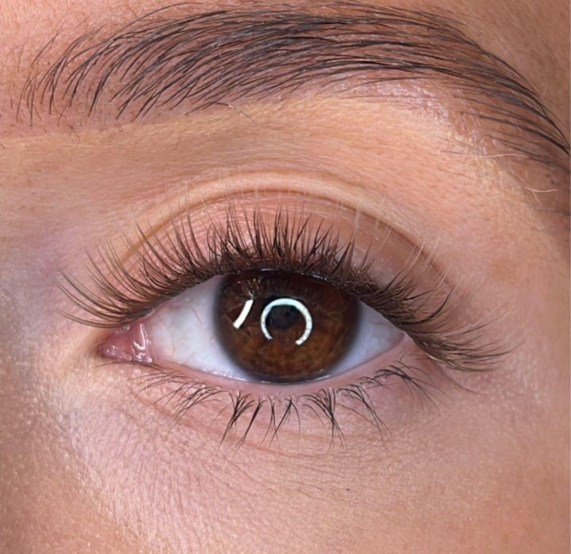 Orla - 'C' Curl Brown Lash Ribbons®