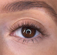 Orla - 'C' Curl Brown Lash Ribbons®