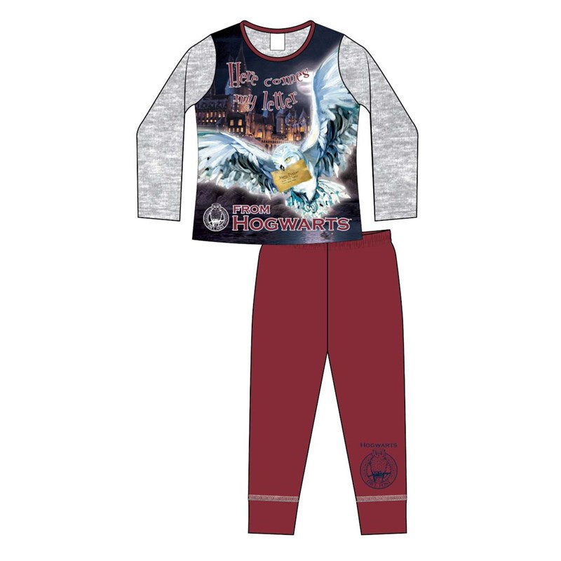 P173 HARRY POTTER 5 12 YEARS