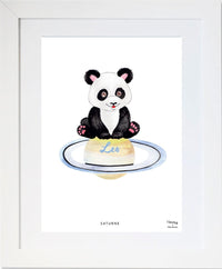 The Panda on Saturne