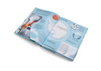 Penguins and Polar Bears