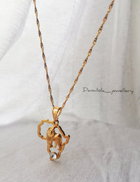 Africa ‘Heart of a Lion' Necklace