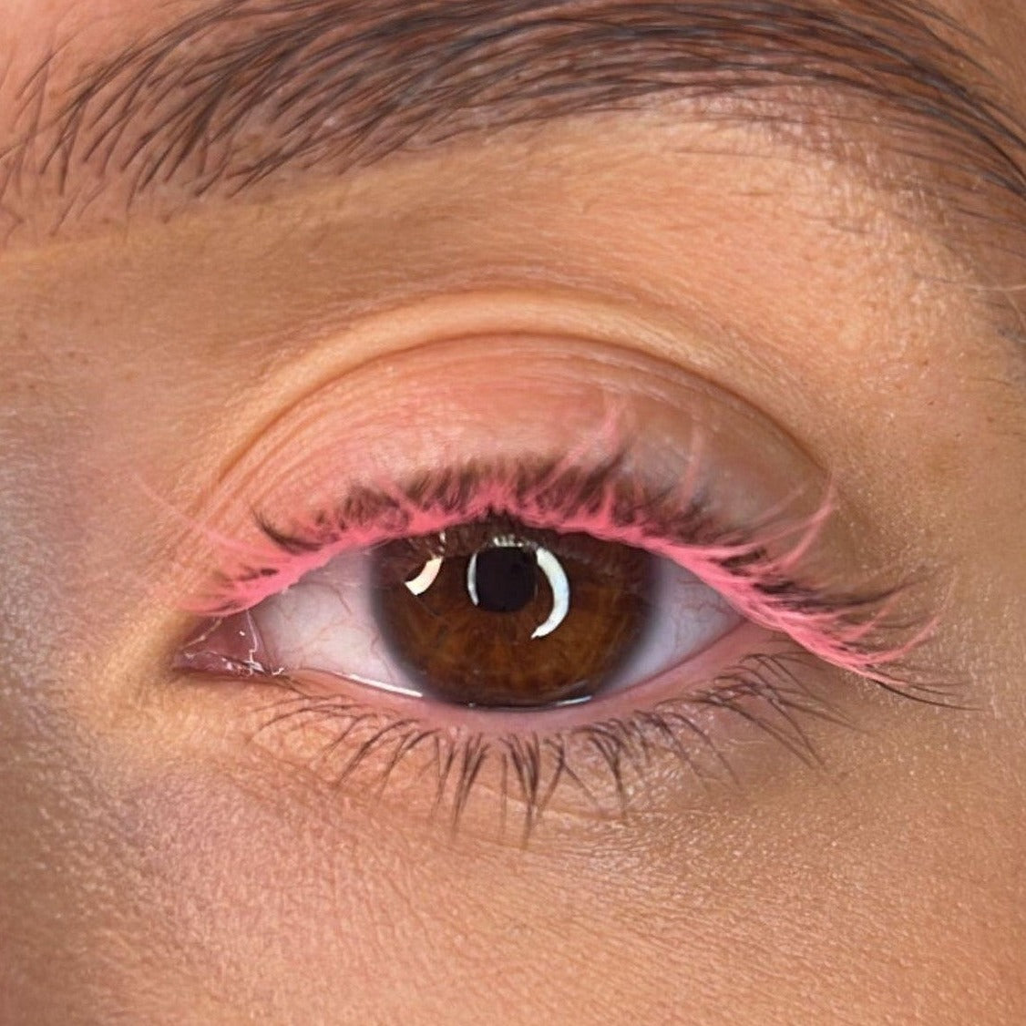 Pink Lash Ribbons® Collection