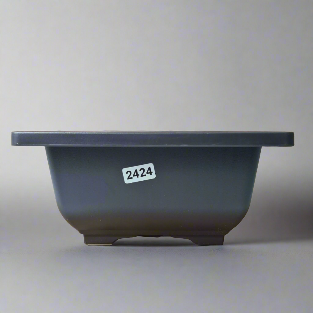 Plastic Bonsai Training Pot | Square | 17cm x 8cm