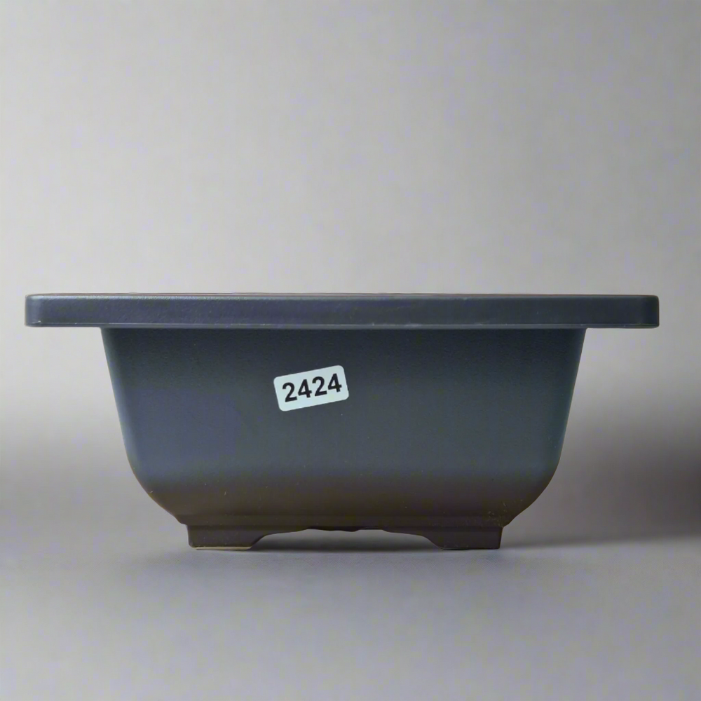 Plastic Bonsai Training Pot | Square | 17cm x 8cm