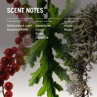 Red Lake Reed Diffuser