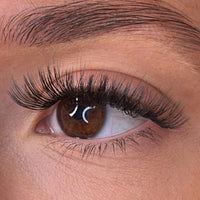 Rilee - 3D 'D' Curl 18mm Lash Ribbons® - Sale Item