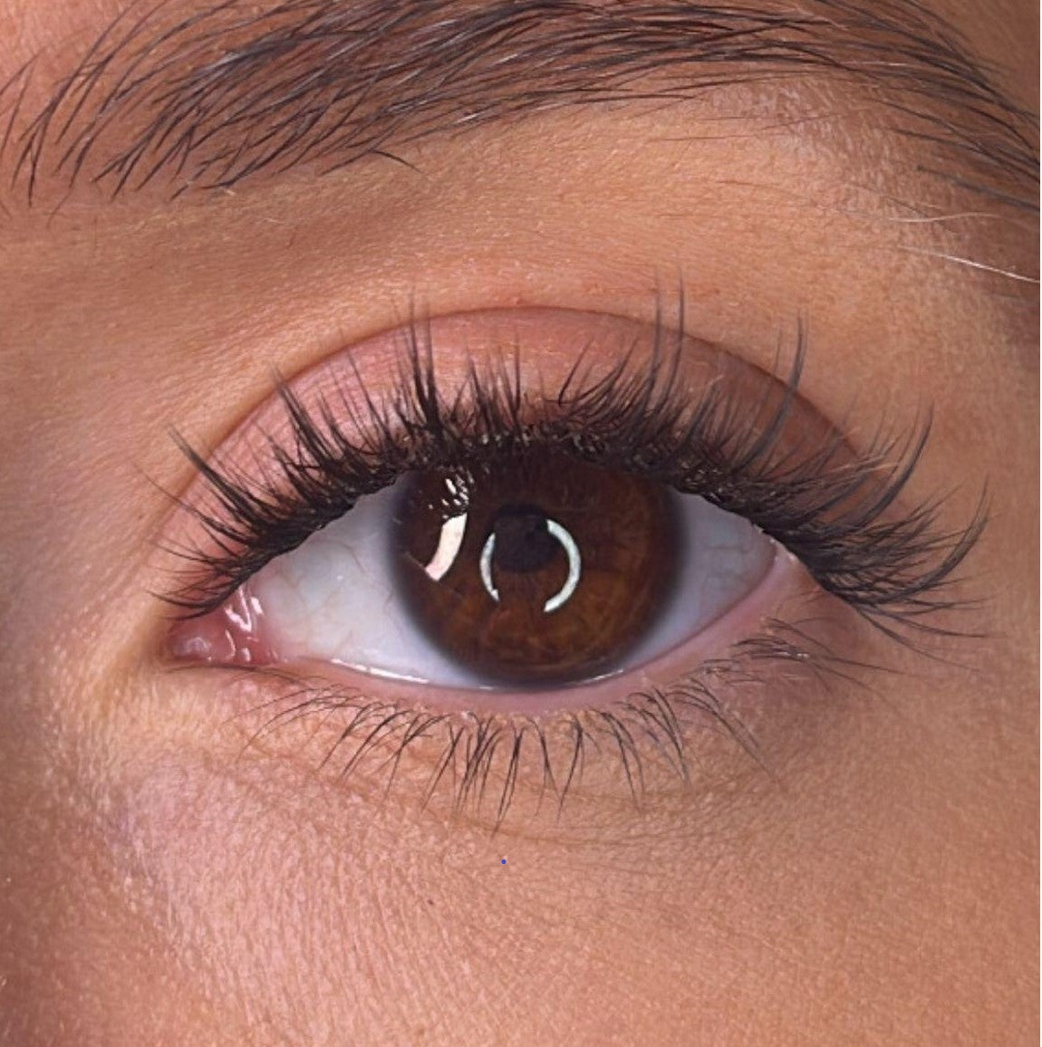 Roisin Pre Styled Lash Ribbons®