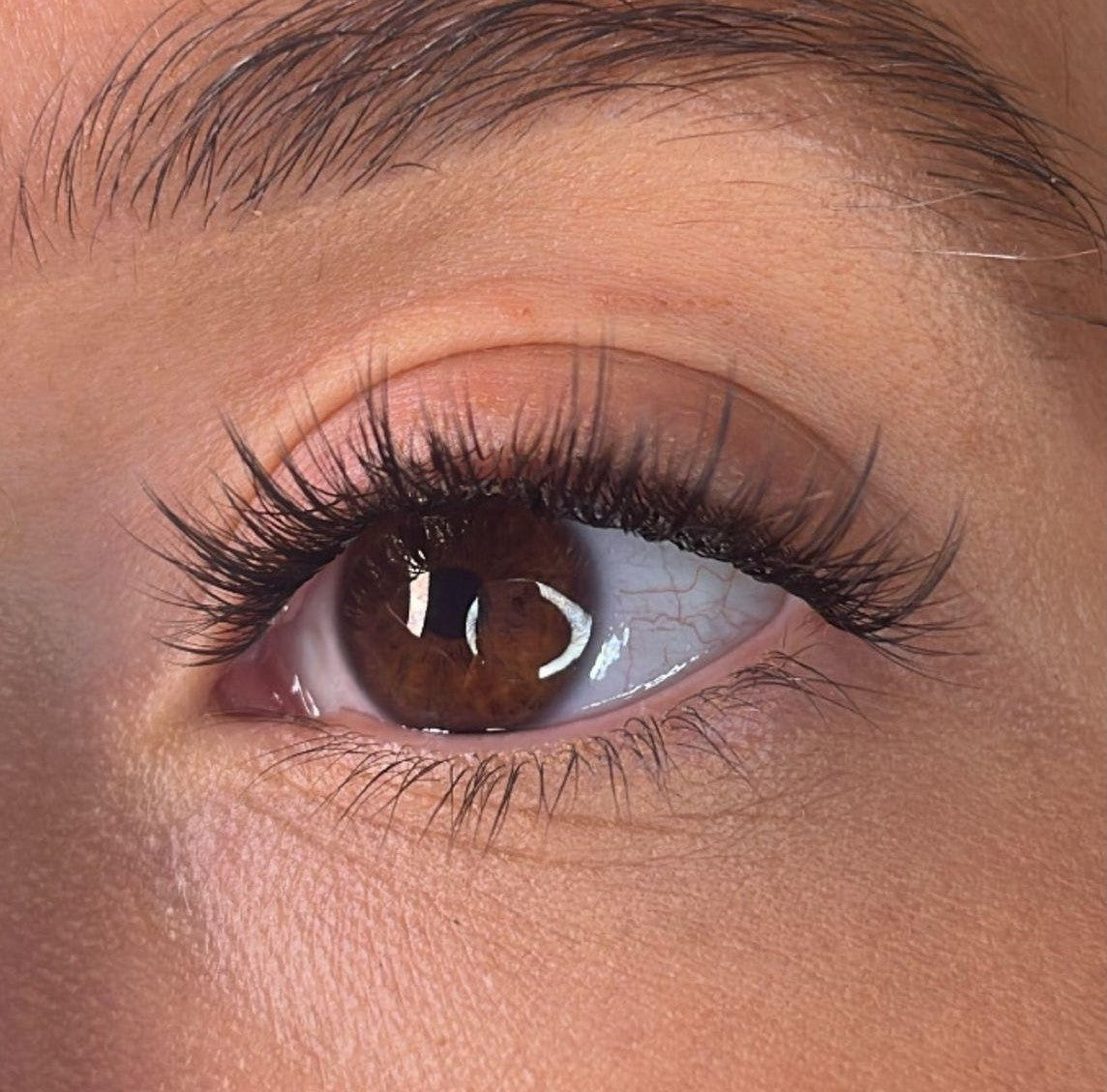 Roisin Pre Styled Lash Ribbons®