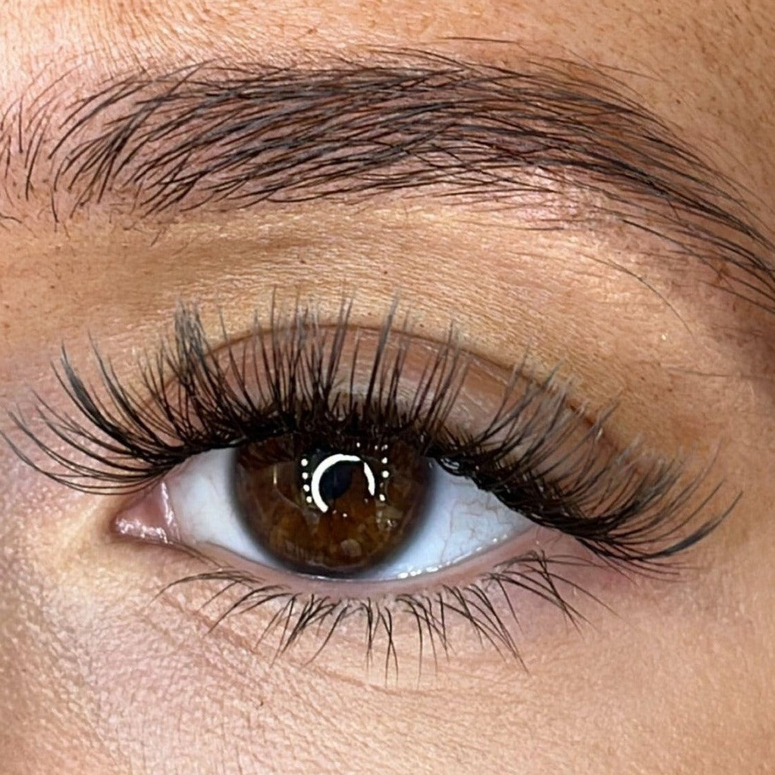 Rose - Weightless 'C' Curl Pre-Cut Lash Ribbons®