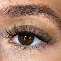 Rose - Weightless 'C' Curl Pre-Cut Lash Ribbons®