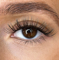 Rose - Weightless 'C' Curl Pre-Cut Lash Ribbons®