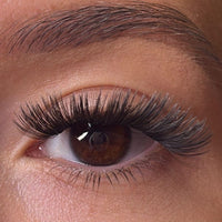 Sass - Weightless 'C' Curl Pre-Cut Lash Ribbons®