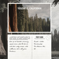 Sequoia Reed Diffuser