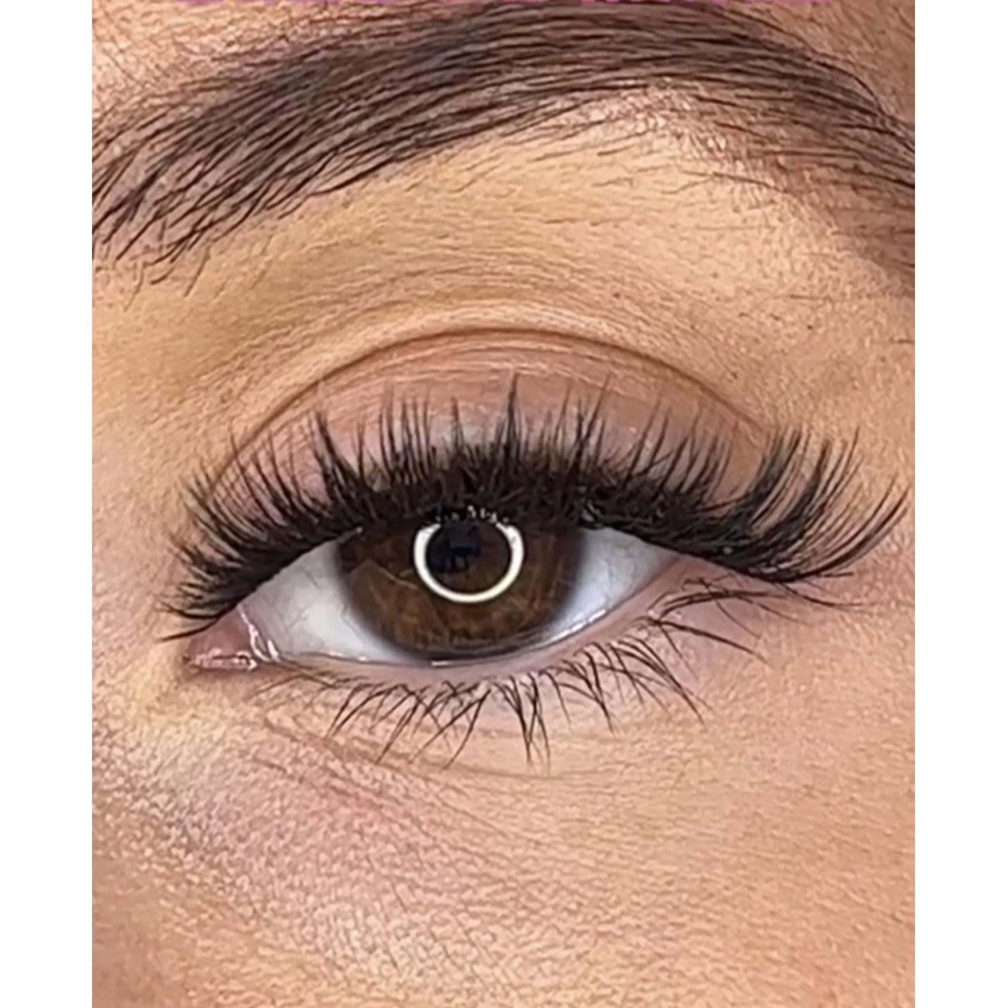 Shayla Pre Styled Lash Ribbons®
