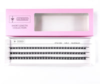Sina Lash Ribbons® Collections