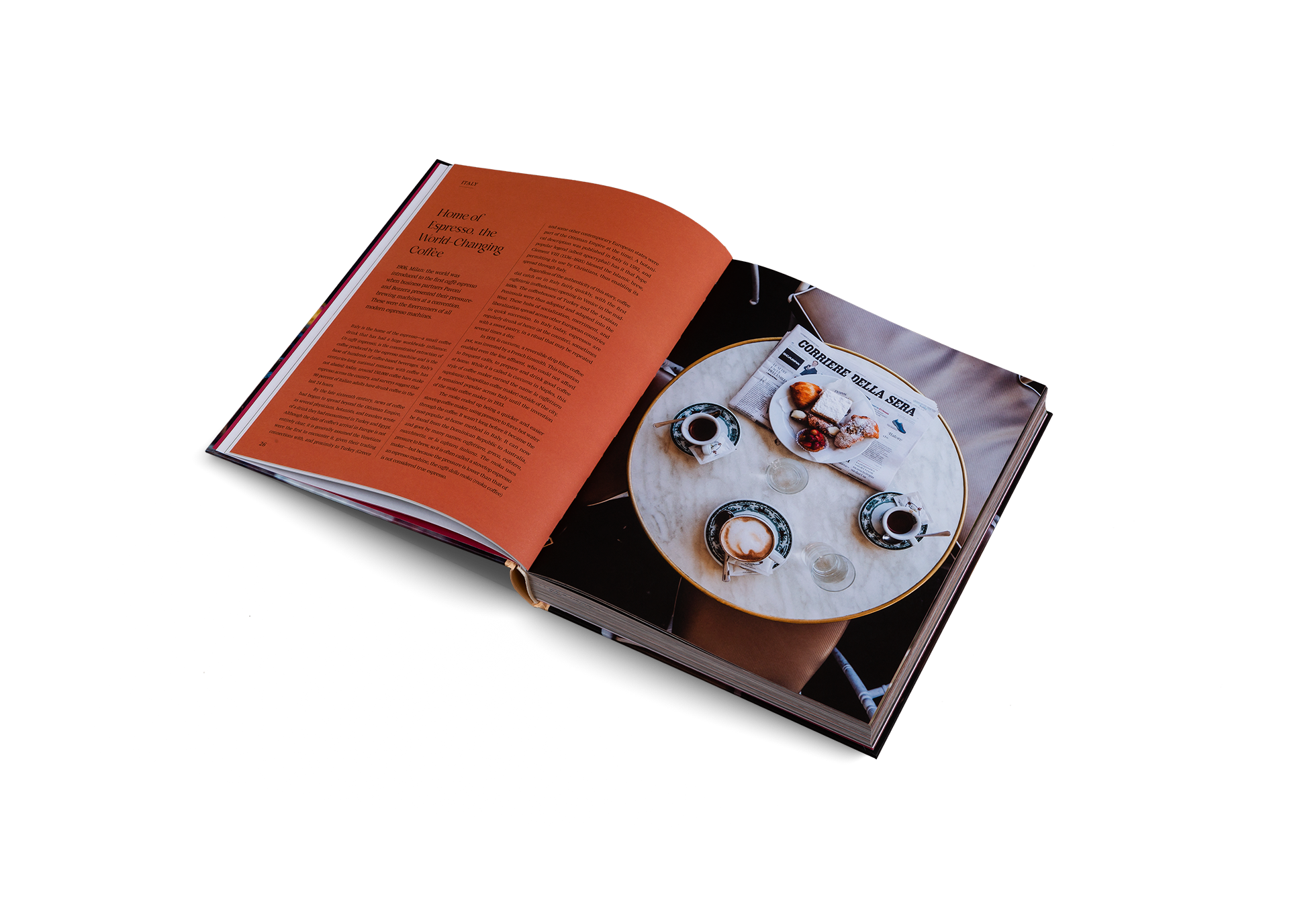 Spill the Beans (Updated Edition)