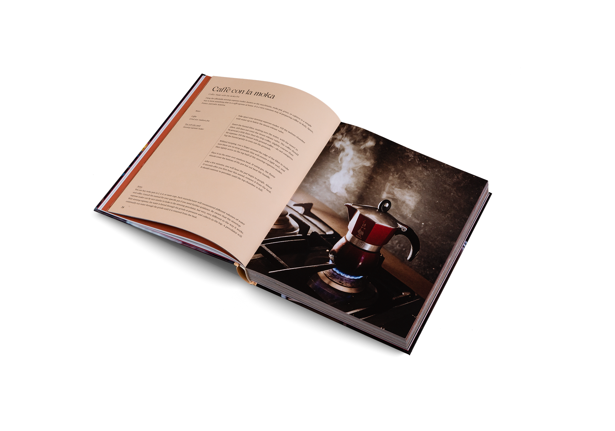 Spill the Beans (Updated Edition)