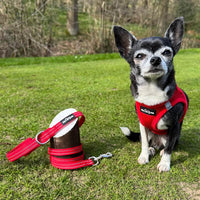 Tiny Trails Reflective 15mm Webbing Lead with Neoprene Handle Lining Red