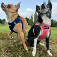 Tiny Trails Step In Air Mesh Puppy and Small Dog Harness Pink